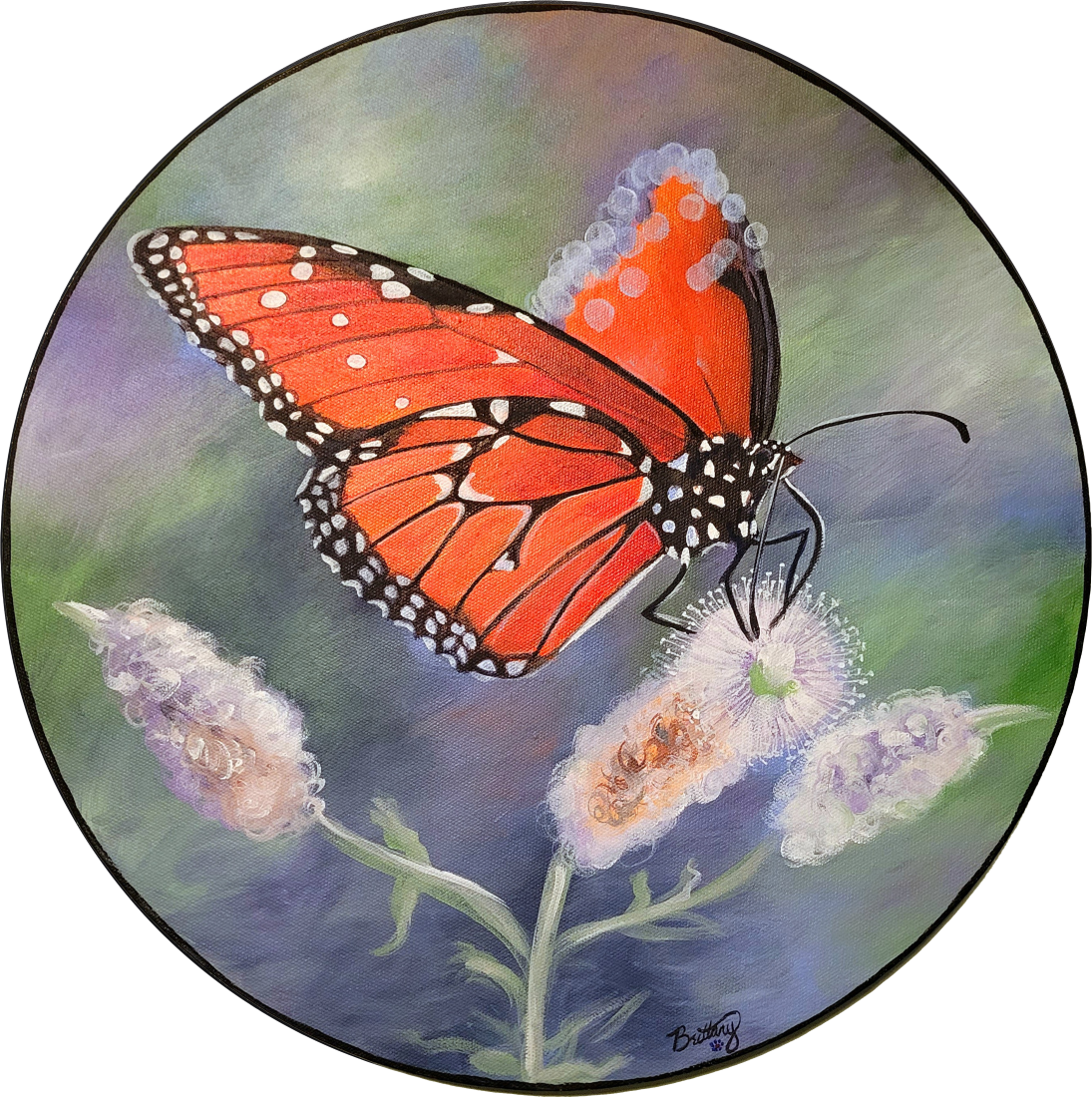 Monarch, Limited Edition Print