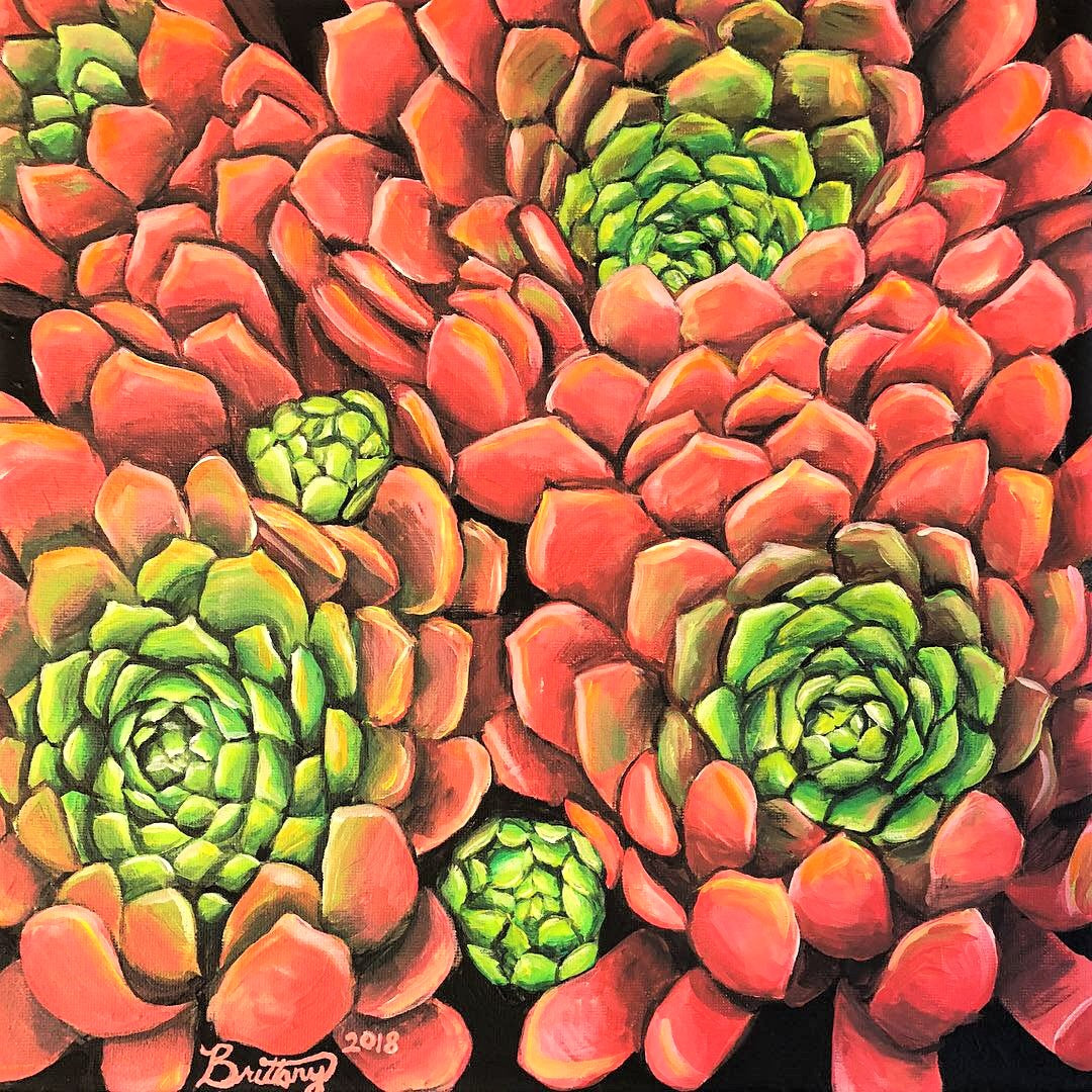 Red Echeveria, Original Acrylic Painting