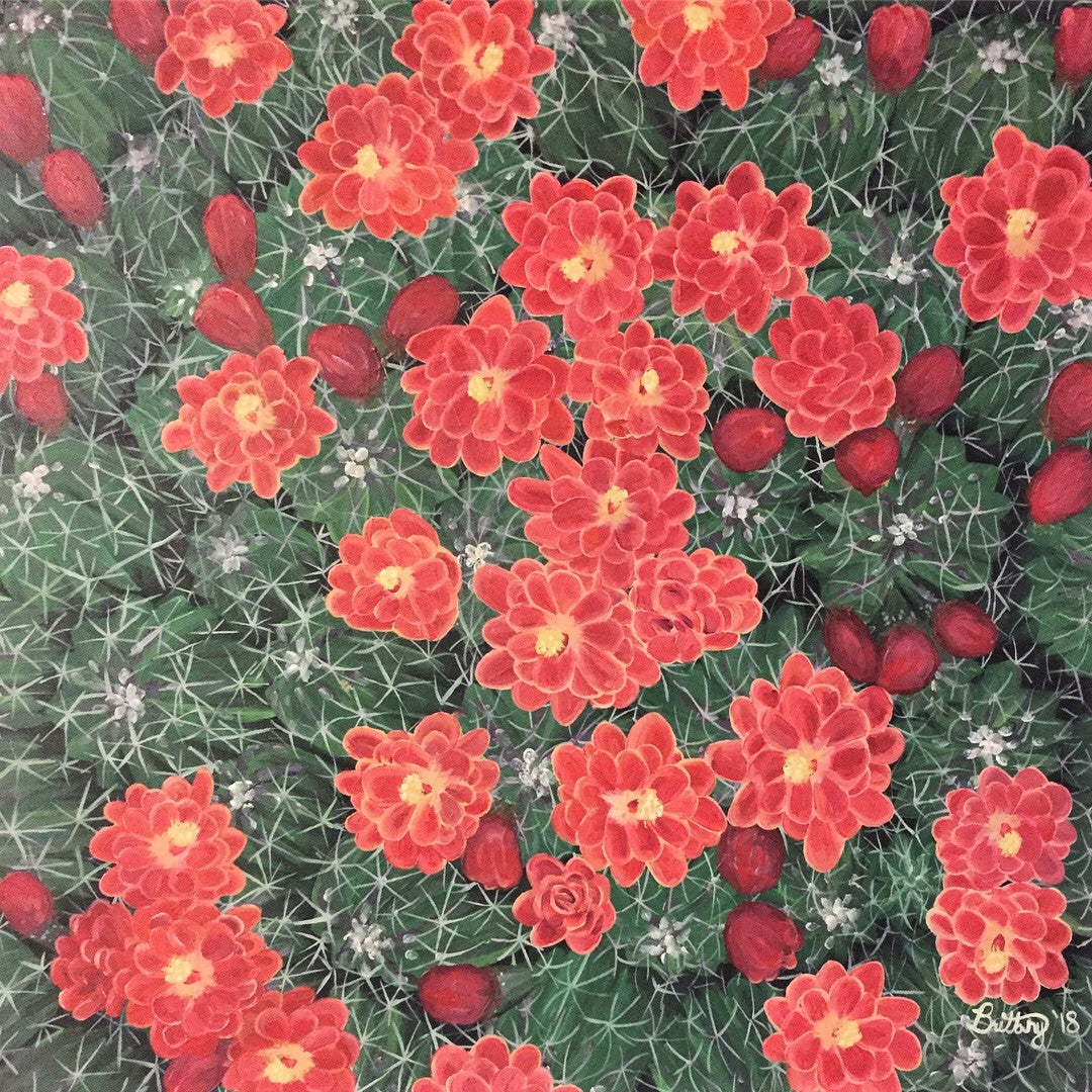Scarlet Hedgehog Cactus, Original Acrylic Painting