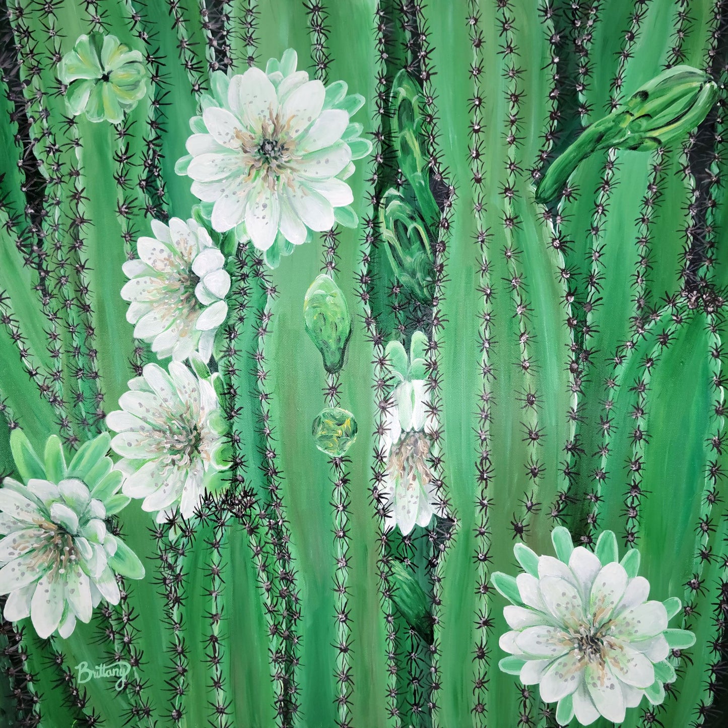 Night-Blooming Cereus, Limited Edition Print