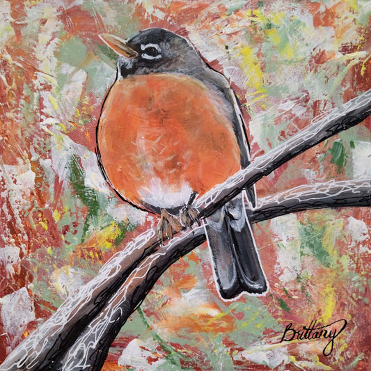 Songbirds: American Robin, Original Acrylic Painting