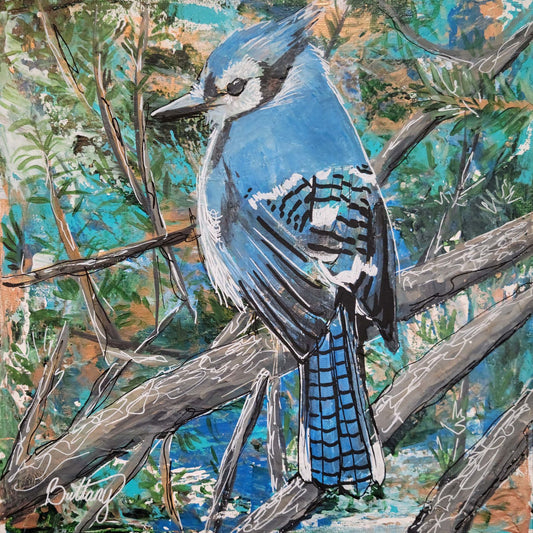 Songbirds: Blue Jay, Limited Edition Print