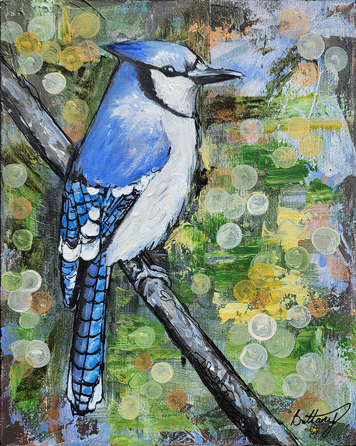 Blue Jay- Original Acrylic Painting