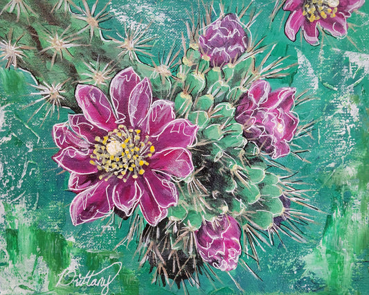 Cholla Blooms, Original Acrylic Painting