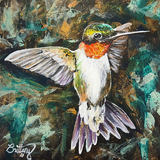 Curious Hummingbird, Original Acrylic Painting