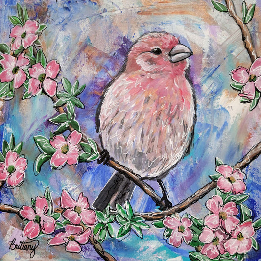 Songbirds: House Finch, Limited Edition Print