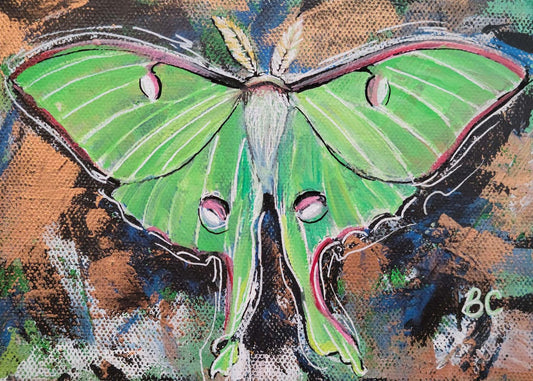 Luna Moth, Original Acrylic Painting