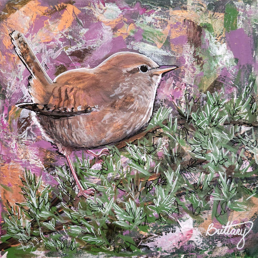 Songbirds: Wren, Limited Edition Print