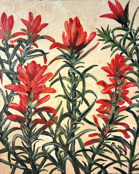 Castilleja, Original Acrylic Painting