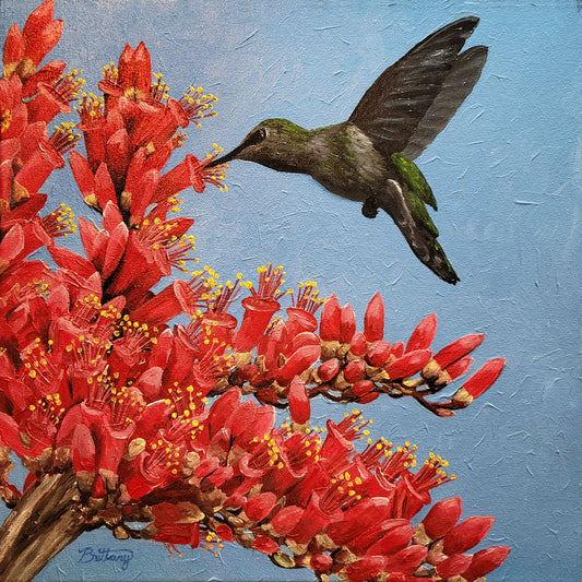 Hummingbird on Ocotillo, Limited Edition Print