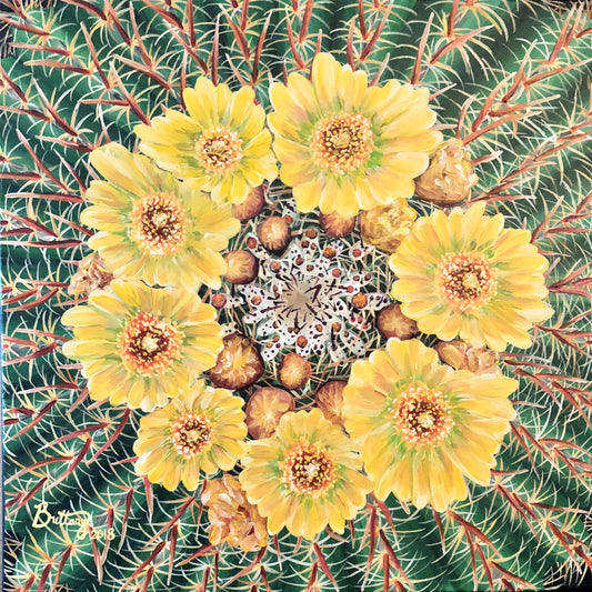 Blooming Barrel Cactus, Original Acrylic Painting