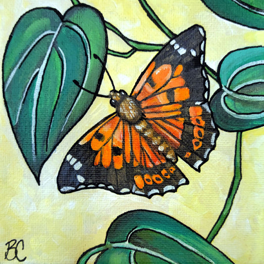 Painted Lady Butterfly, Original Acrylic Painting