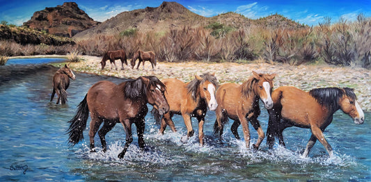Wild Horses on Salt River, Limited Edition Print